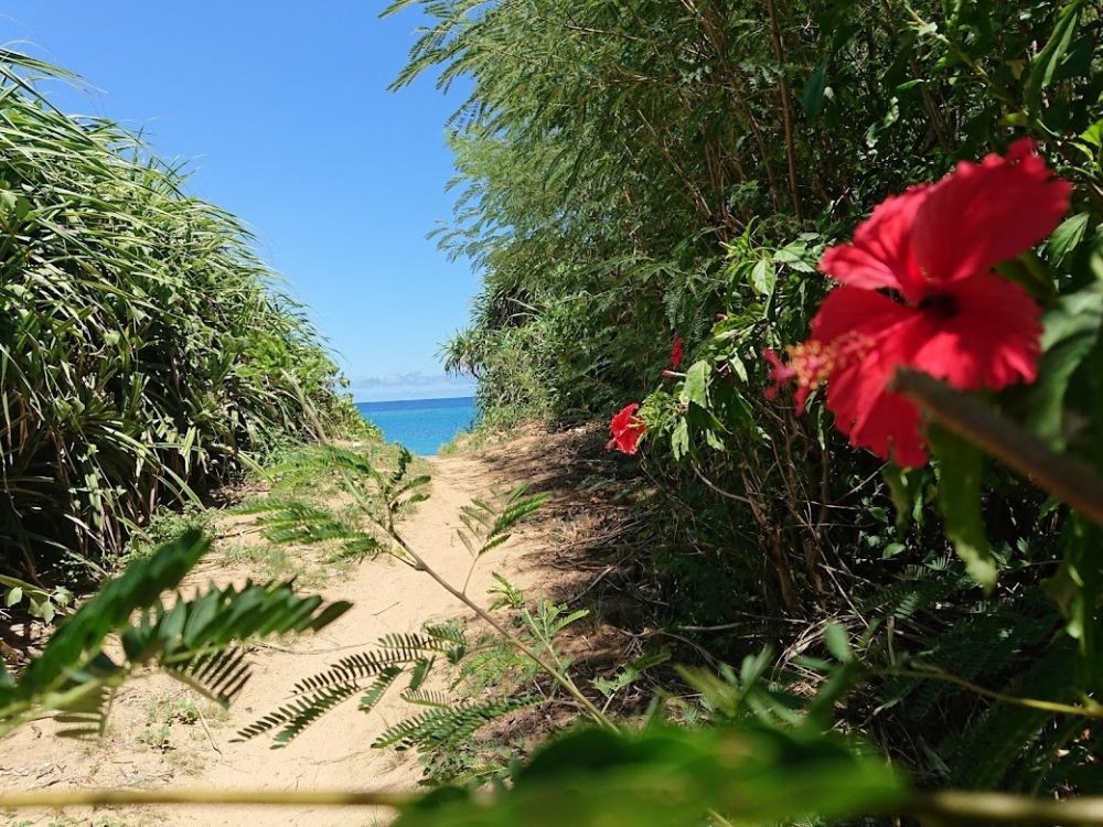 [오키나와 리조트 호텔 구인] 레스토랑 조리 지원