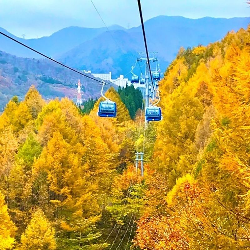 [新泻县南鱼沼郡] 招聘餐厅员工 ☆ ＜一日三餐可以付钱 ＞