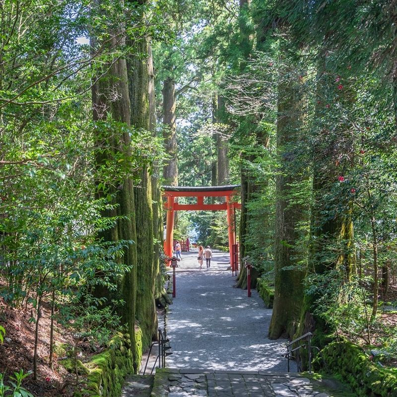 [Hakone's largest hot spring leisure facility] Food court staff equipped with Wi-Fi! Equipped with private dormitories