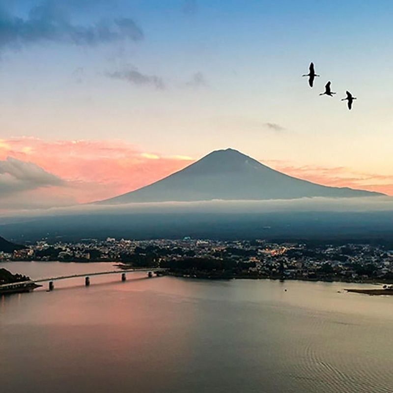 [Yamanashi-ken Fujikawaguchiko] Equipe de cozinha no hotel “com fontes termais, taxas de dormitório, refeições gratuitas”