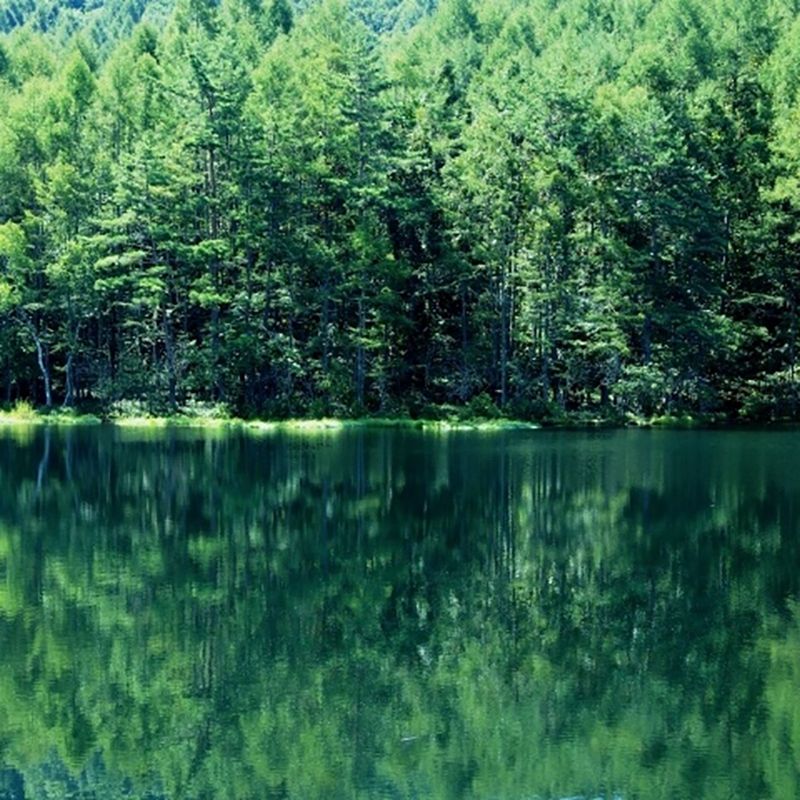 [长野县立科高原] 洗手间工作人员！私人宿舍，不收宿舍费