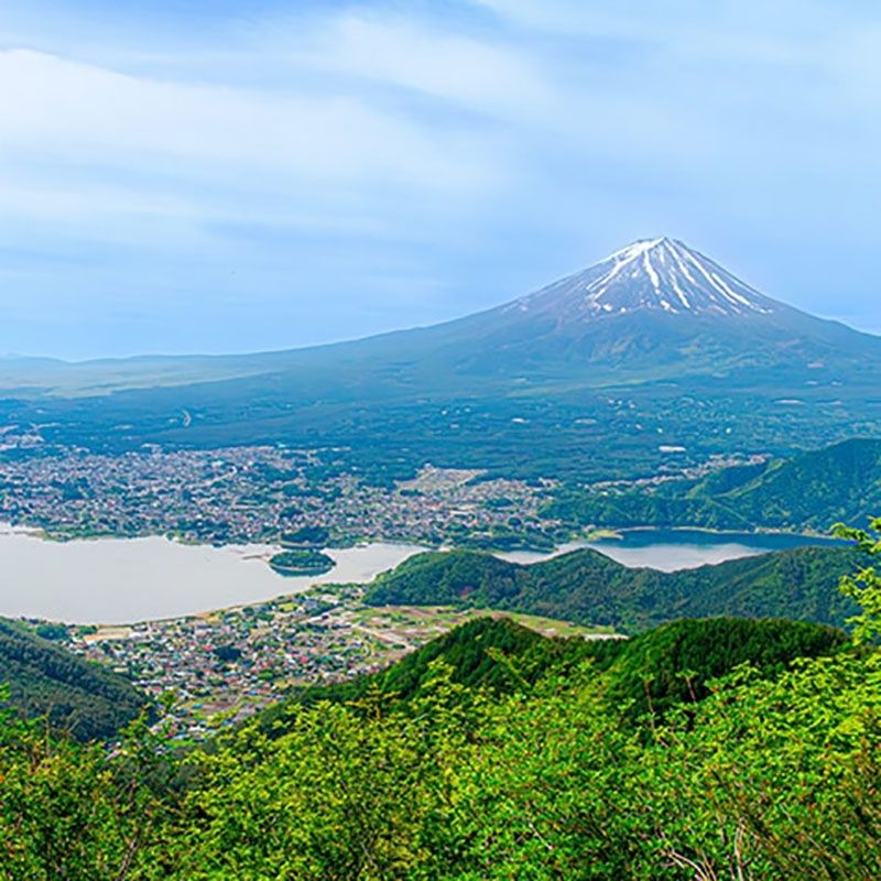 [Tỉnh Yamanashi Fujikawaguchiko] Nhân viên nhà hàng “Thanh toán miễn phí một bữa một ngày”
