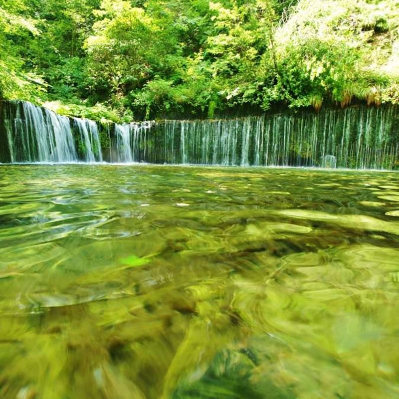 [Prefeitura de Nagano] Empregos em hotéis e restaurantes