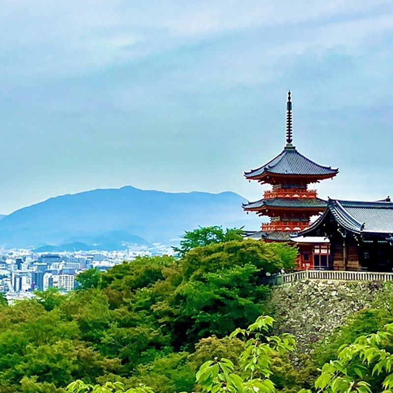 [Kyoto] Living in Kyoto ♪ Restaurant Staff Recruitment＜Free Dormitory Fees/Utility Fees/Meals＞