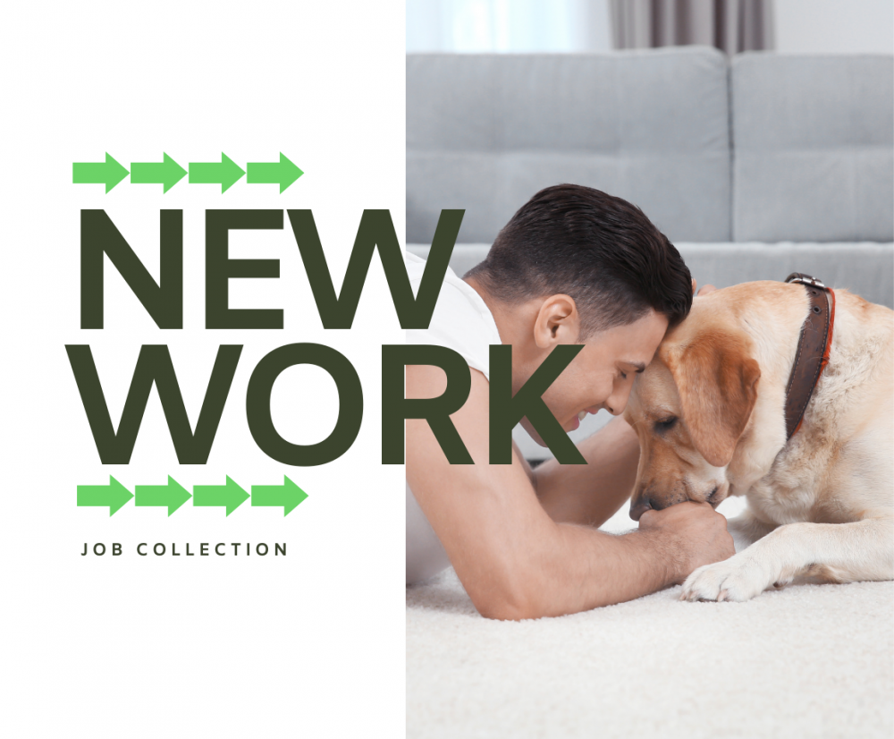 ＜ Recrutamento de Secretários Presidentes＞ Trabalho ocupado de apoio representativo (ajustes de cronograma e suporte externo)