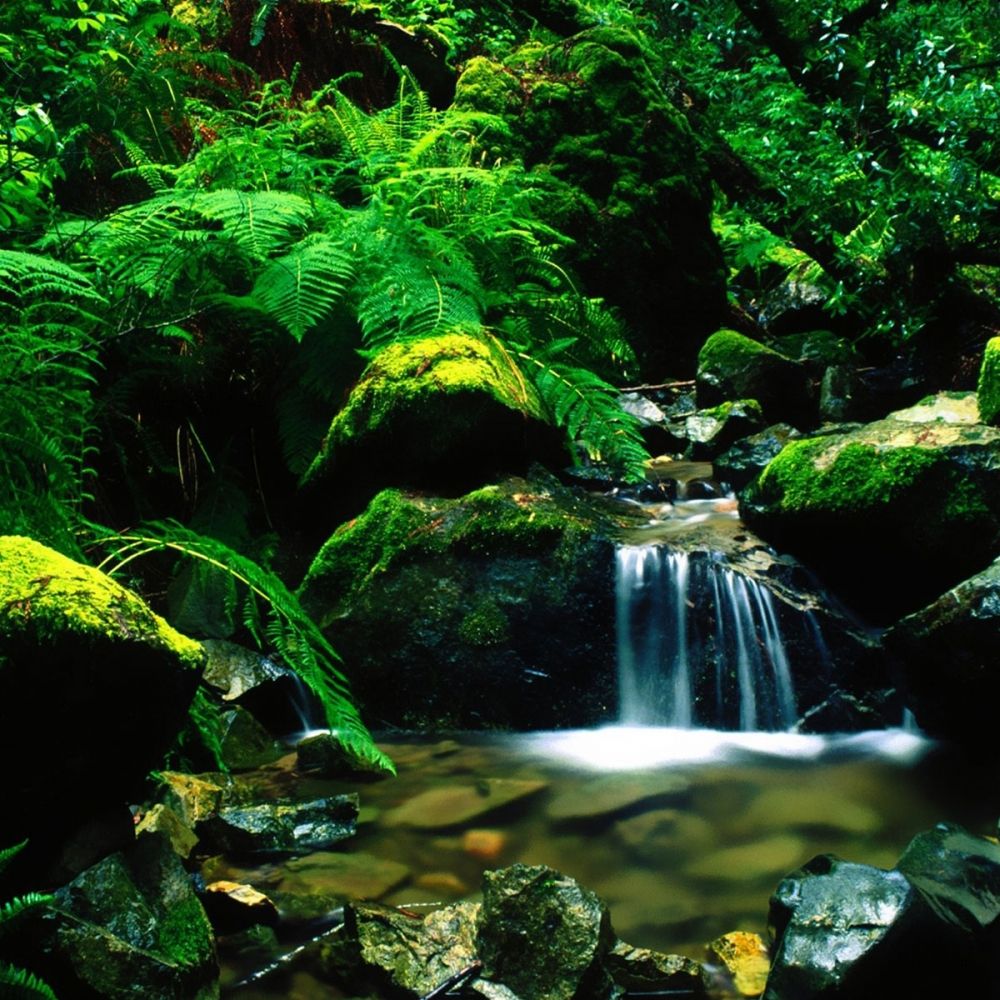 [Cidade de Niigata Uonuma] Serviço de restaurante em um glamping com uma vista espetacular ＜ Inauguração em 2024＞