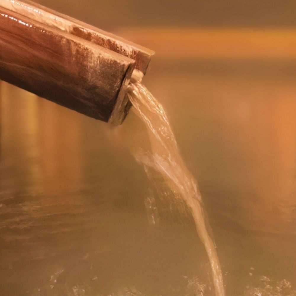 [Acesso ilimitado às fontes termais ♪] “Assistência culinária” em uma fonte termal cercada pela natureza ＜ Taxa de dormitório gratuita＞