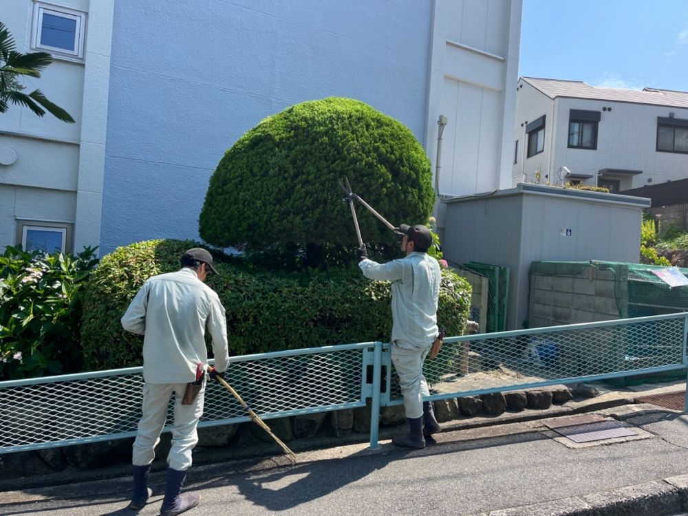 [Landscaping business] ⭐ ︎ you can learn Japanese traditions ⭐ ︎ inexperienced people are welcome ⭐ ︎ ♪ why don't you become a gardener ♪