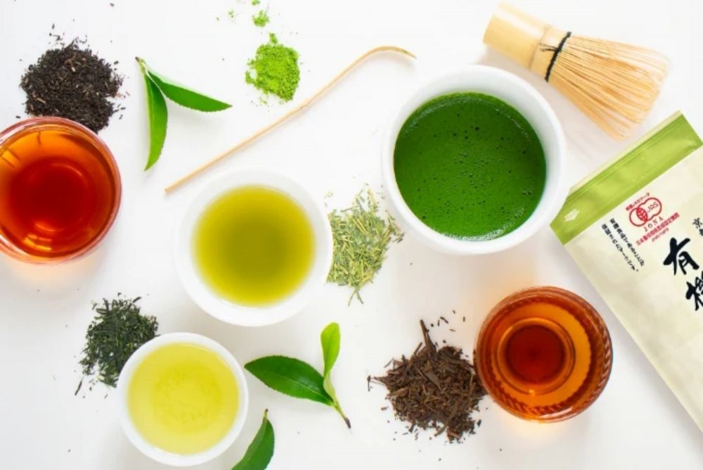 Trabalho de vendas por atacado no exterior “sem transferência”