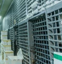 Forklift operation, picking work