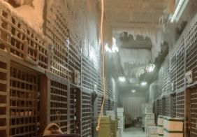 Operação de empilhadeira, trabalho de seleção