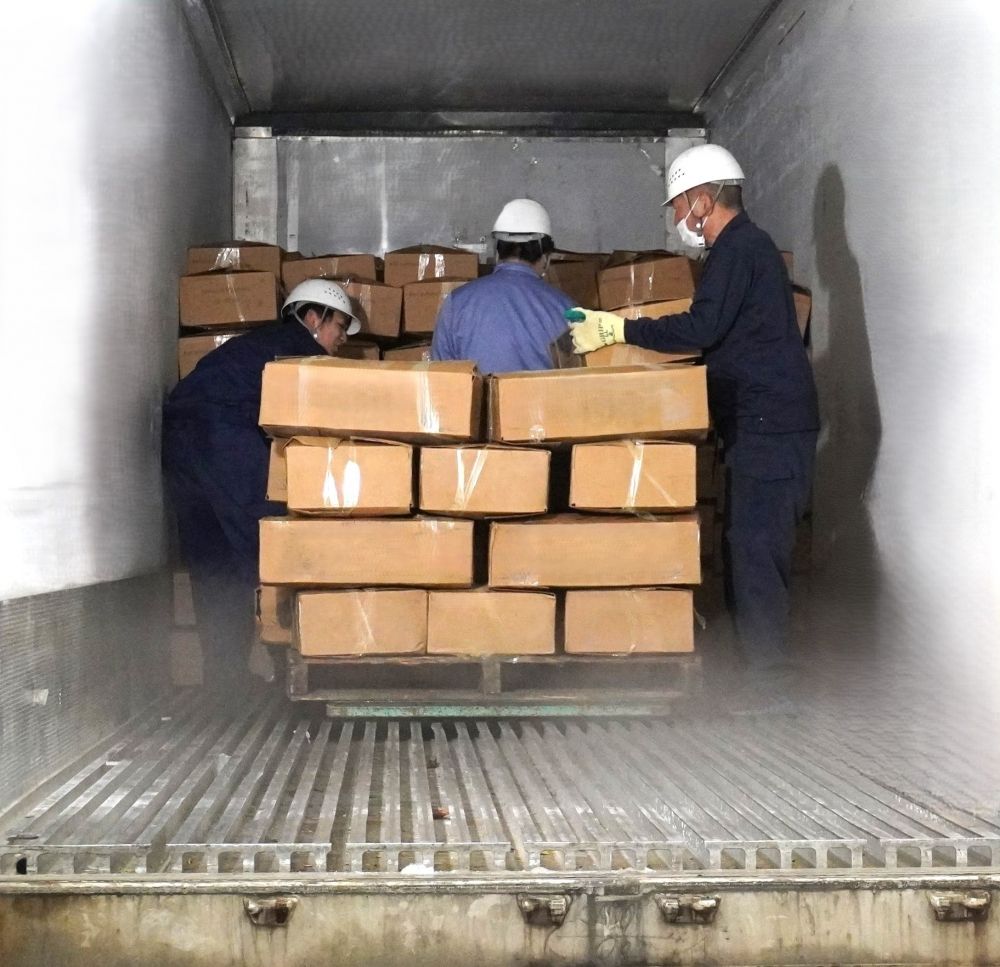 [Fins de semana e feriados, trabalho simples] Descarregamento de produtos congelados de contêineres, trabalho de triagem