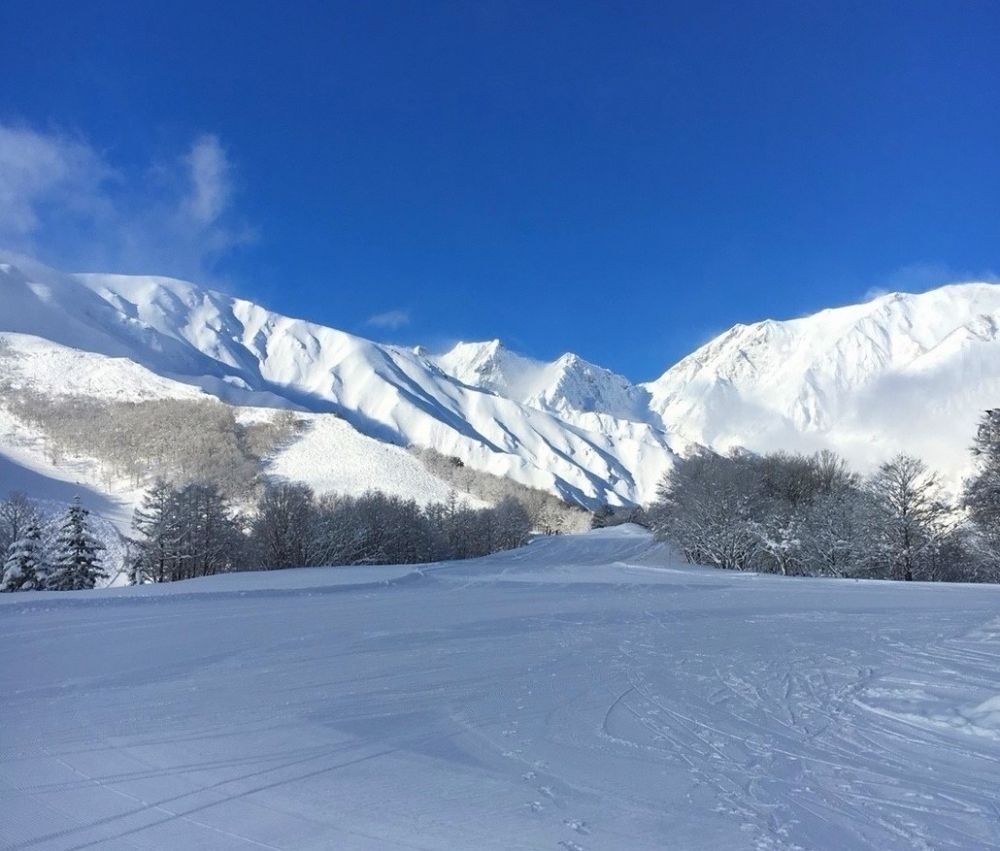 “长野县白马八方根滑雪场” 在滑雪场工作