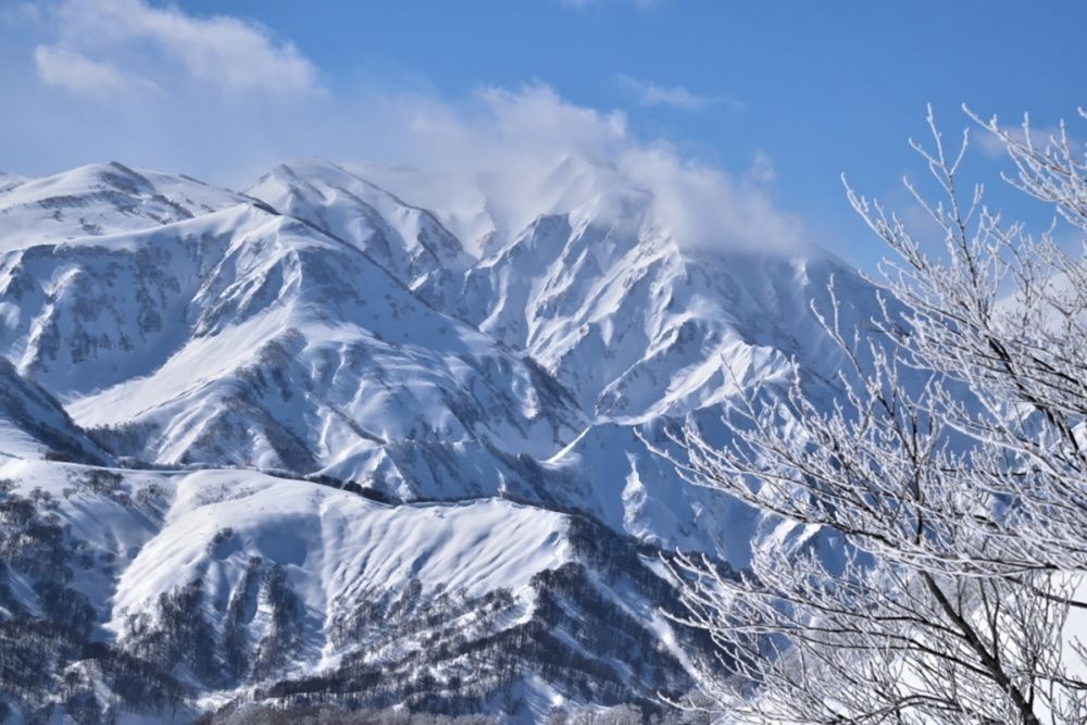 《新泻县乐天新井度假村滑雪场》在滑雪胜地工作