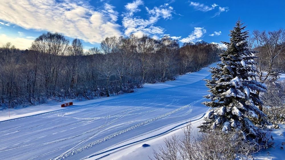 在 “新泻县神乐滑雪场” 滑雪场工作