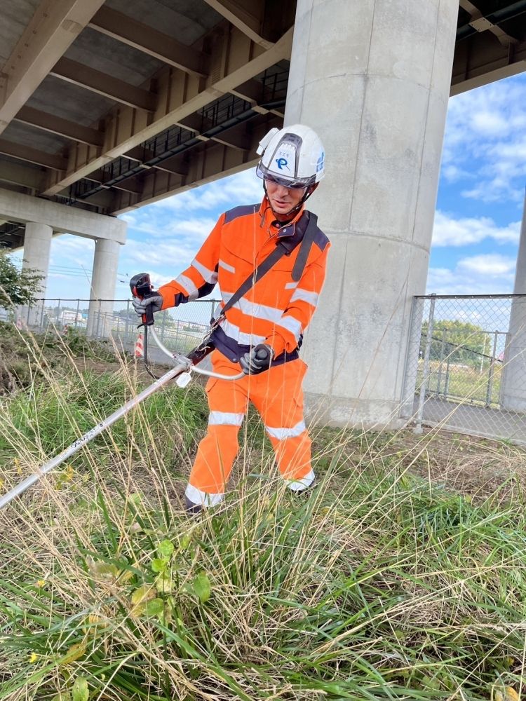 [Pessoas inexperientes e iniciantes japoneses são bem-vindas] Salário diário de 11.000 ienes ~ cortar, cortar árvores, limpar o trabalho