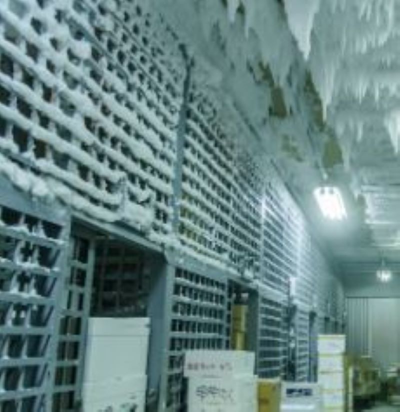 Operação de empilhadeiras e trabalhos de coleta em armazéns refrigerados