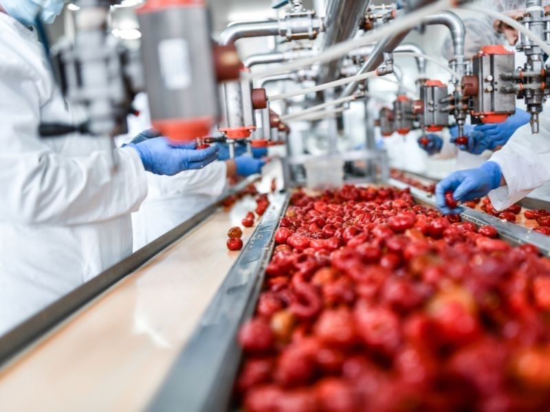 [사이타마 식음료 제조/1527/슈토 동부] 제과 공장 라인 작업