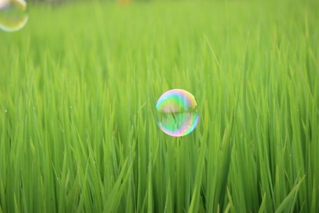 O salário por hora é de 1350 ienes! Você pode se deslocar de carro ou moto! Trabalhe 5 dias por semana! Fechado nos finais de semana e feriados (condições aplicáveis)!