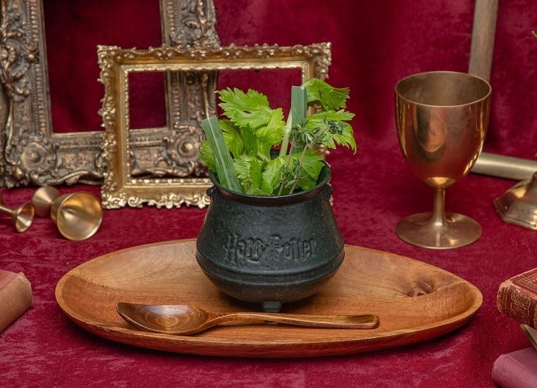 Harry Potter Cafe [Suporte para vistos disponível] [Falantes de inglês são bem-vindos]