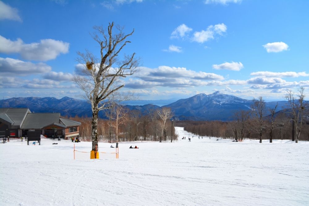 《福岛县 Grand Deco 滑雪场》在滑雪胜地工作