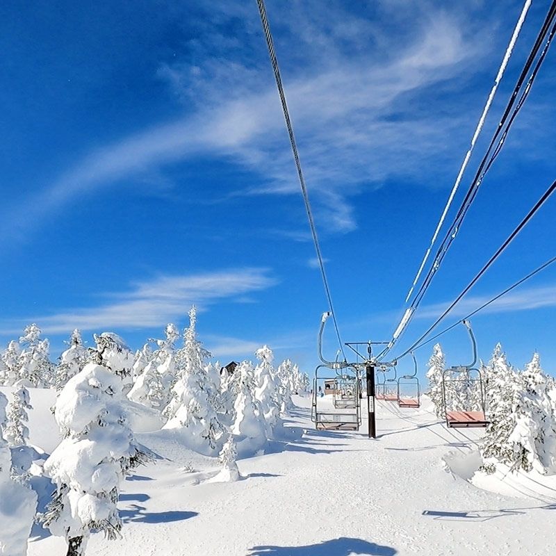 “Nagano Prefecture Shiga Kogen Ski Resort” work at a ski resort