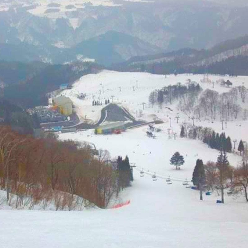 在 “岐阜县Washigatake滑雪场” 滑雪场工作