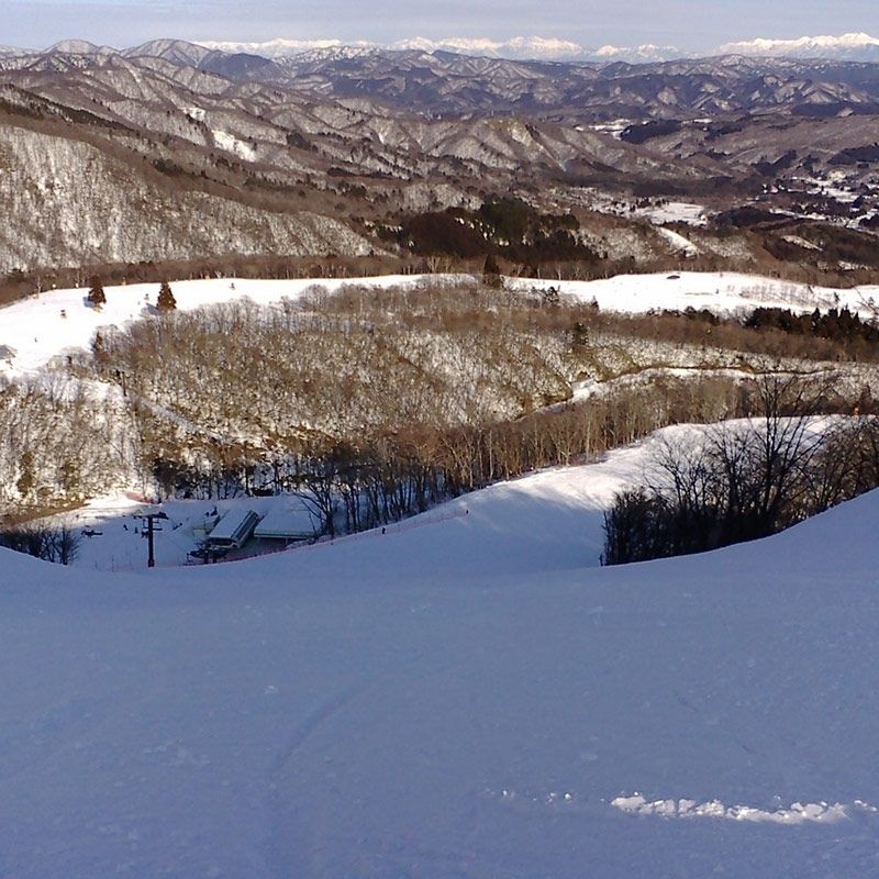 “岐阜县高须雪地公园滑雪场” 在滑雪胜地工作
