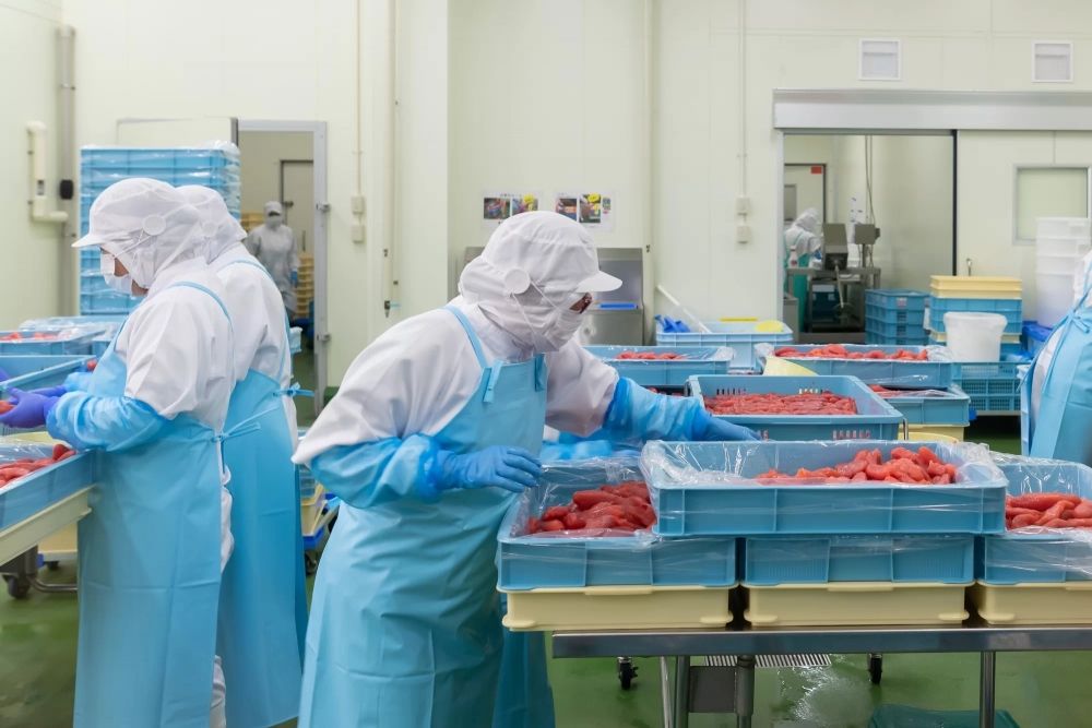 [Alto salário por hora] Aqueles que sabem ler e escrever em japonês! Verificar os ingredientes do bento é um grande sucesso para homens