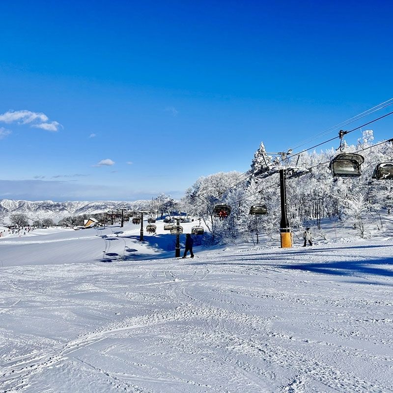 [Estação de esqui Onsen Nozawa Onsen da Província de Nagano] As taxas de dormitório e as refeições são gratuitas!