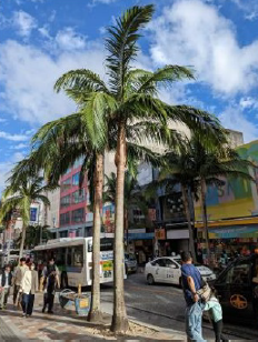 【沖縄／国際通り近く　NEW OPEN♪】ハワイが本店の焼肉店✨ホール・キッチン全般をお任せ！