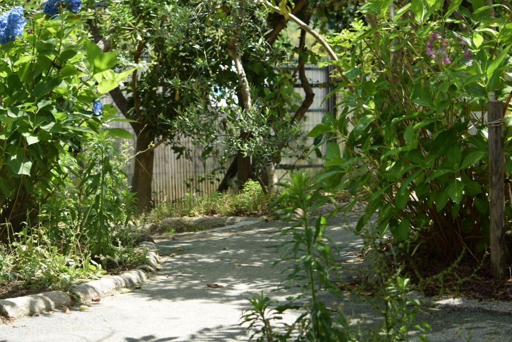 Why don't you try [Inexperienced Welcome/Foreigners Active]? Cross-cultural exchange with children in kindergarten!