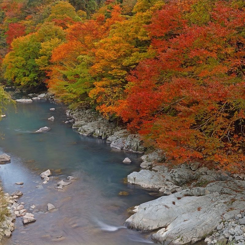 Equipado com dormitórios privados ◎ Recrutamento de funcionários de restaurantes para trabalhar livremente nas áreas do resort (8292H1)
