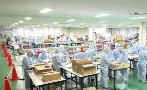 Nenhuma experiência: OK/linha de produção de cosméticos, trabalho de embalagem, operação de linha/Prefeitura de Kanagawa/Salário por hora de 1.400 ienes