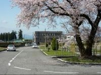 Driver's license instructor/ OK if you don't have a license at the beginning /complete 2-day workweek system/family allowance available