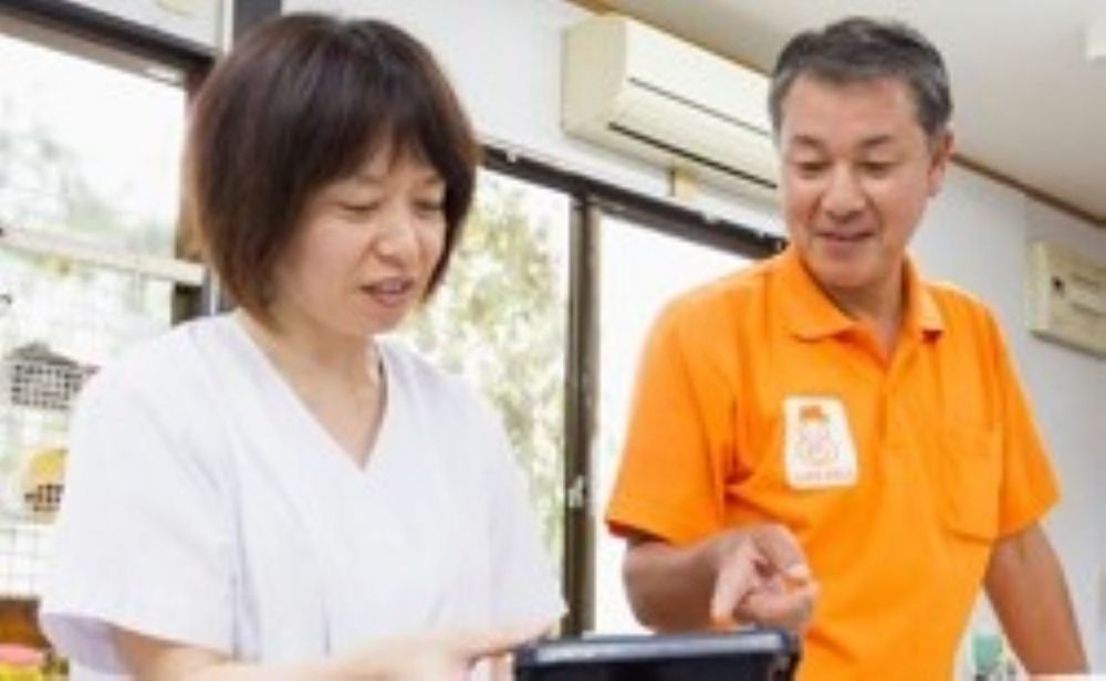 🌈 Recepção inexperiente 🌈 Trabalhos de entrega de rotas