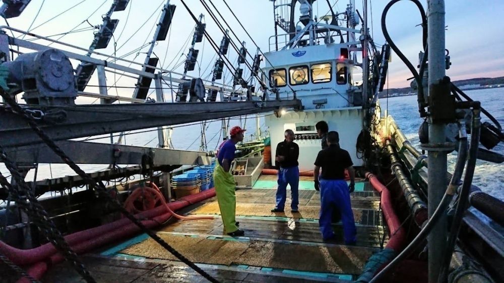 [Salário mensal de 250.000 ienes ou mais] Torne-se um pescador em Hokkaido! Iniciantes em japonês são bem-vindos!