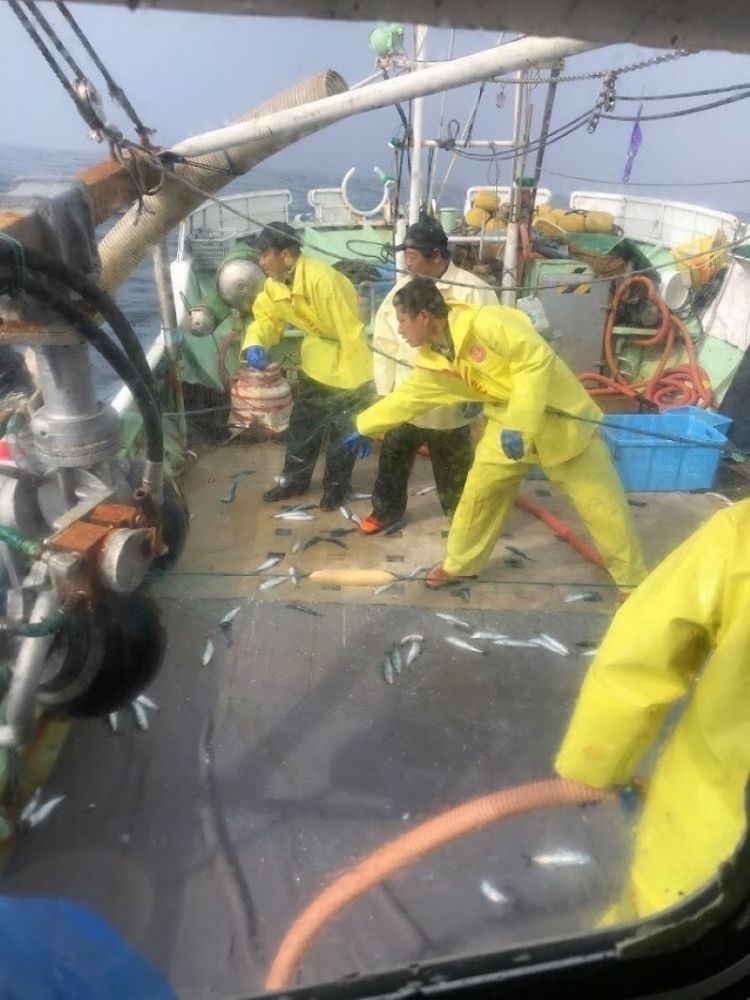 [Salário mensal de 250.000 ienes ou mais] Torne-se um pescador em Hokkaido! Iniciantes em japonês são bem-vindos!