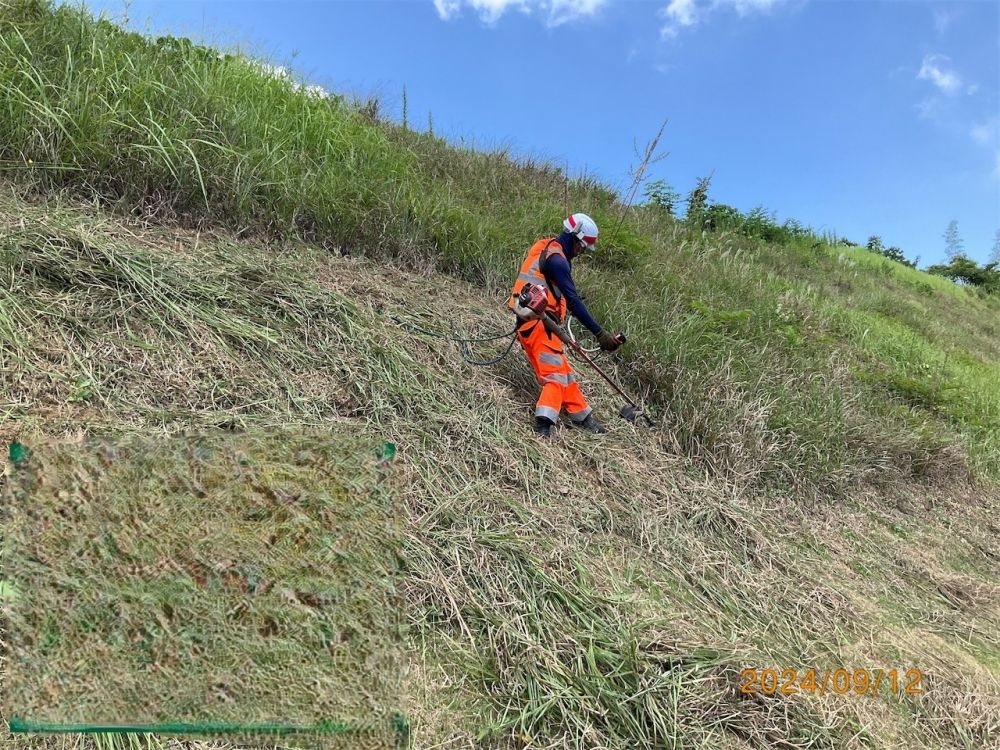 Cortando e cortando! Trabalho na estrada!