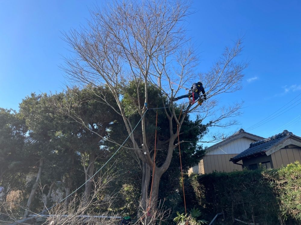 Cortando e cortando! Trabalho na estrada!
