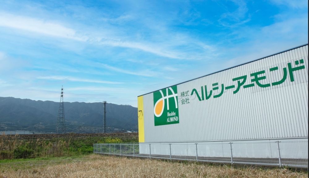 Cópia: Equipe de trabalho leve (separando e embalando amêndoas), donas de casa (maridos) e mães que criam filhos também estão ativas!