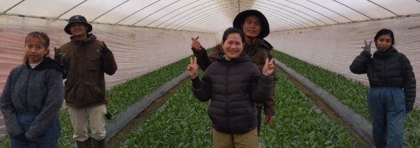 工程机械装配工作