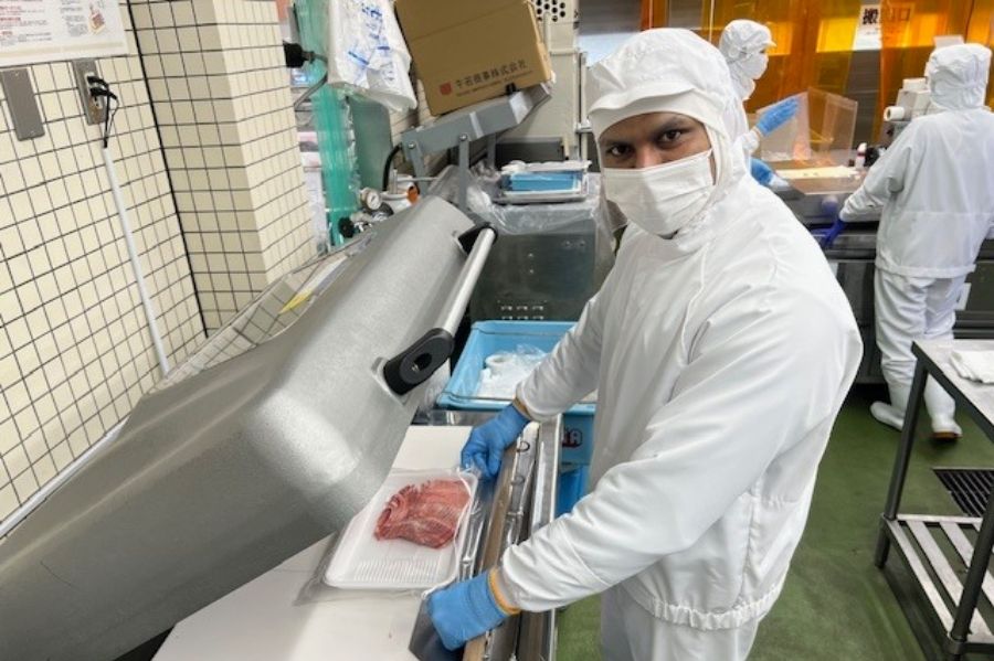 [Trabalho leve com carne] Estrangeiros são ativos/OK a partir de 2 dias por semana/Quem gosta de carne é bem-vindo