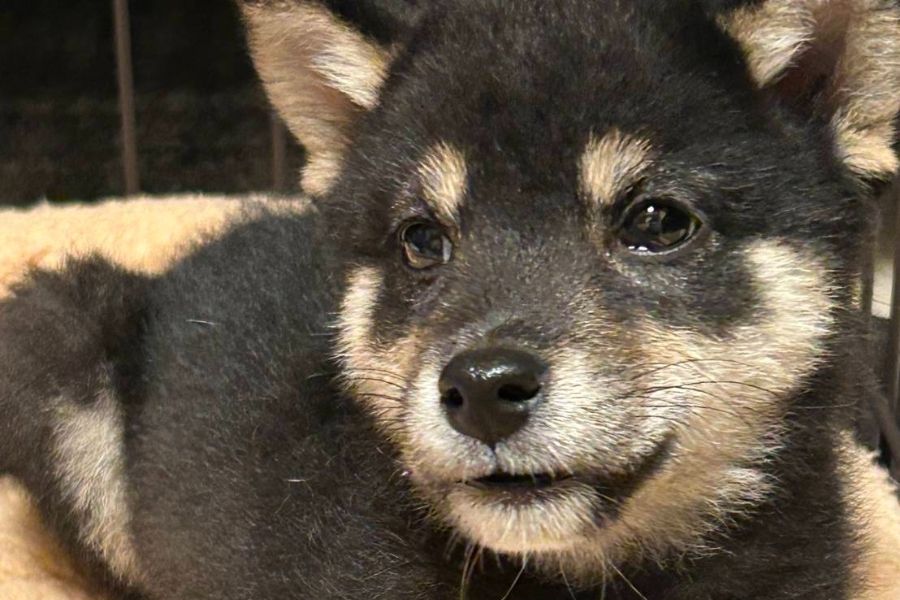 【生活支援スタッフ】食事補助あり/服装自由/正社員登用ありで安心