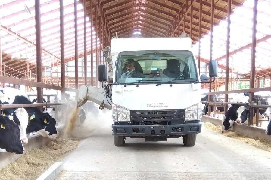 Làm việc trong khi được thiên nhiên bao quanh [Giúp bò phát triển tốt] Những người thích động vật/tư vấn ký túc xá OK