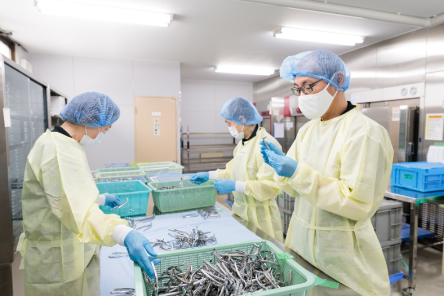 短期兼职工作至5月底【在工厂轻松工作】车站就在附近！！日语初学者OK