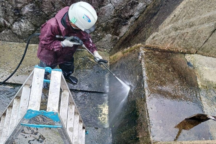 [Landscaping exterior work] with bonuses/qualification support/work with nature