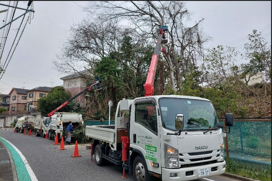月薪25万日元~为什么不作为没有经验的 “园艺专业人士” 获得终身技能