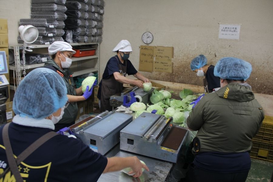 欢迎日语初学者，第一次也可以 [水果和蔬菜装袋工作人员] 外国人很活跃