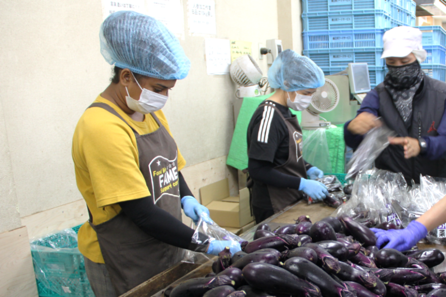 欢迎日语初学者，第一次也可以 [水果和蔬菜装袋工作人员] 外国人很活跃